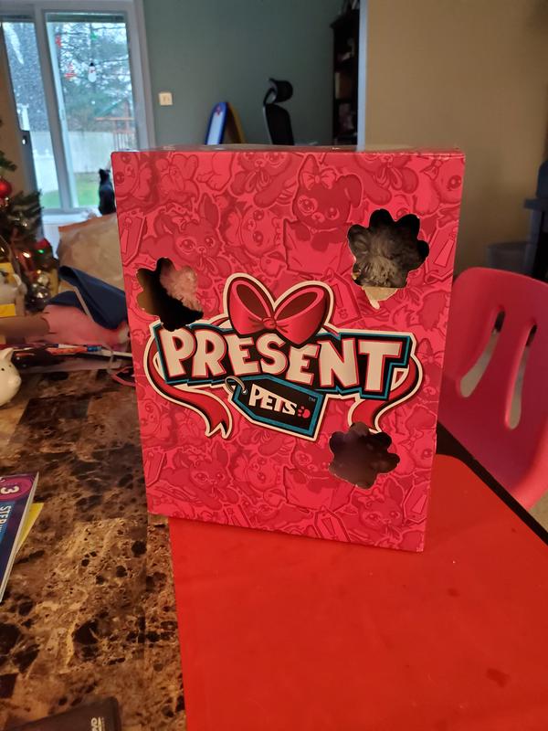 Present Pets Fancy Puppy Interactive Plush Pet Toy Bed Bath and