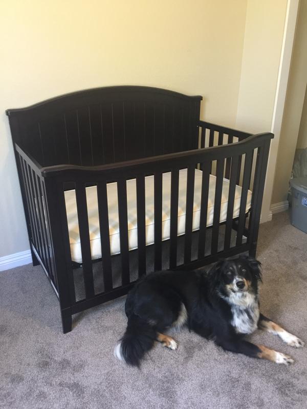 Sorelle Fairview 4in1 Convertible Crib in White Bed Bath & Beyond