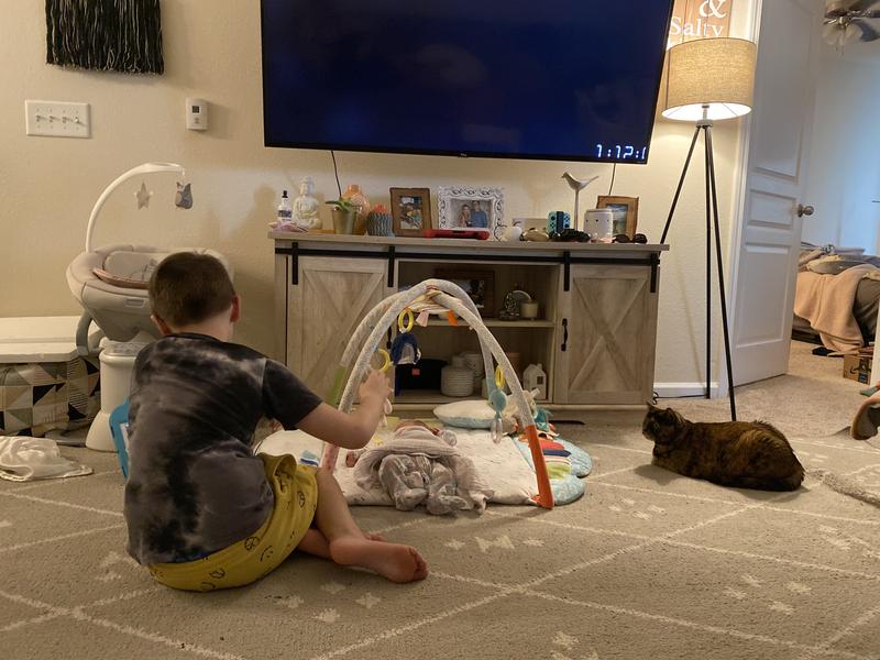 Gund Tinkle Crinkle and Friends Activity Play Gym buybuy BABY