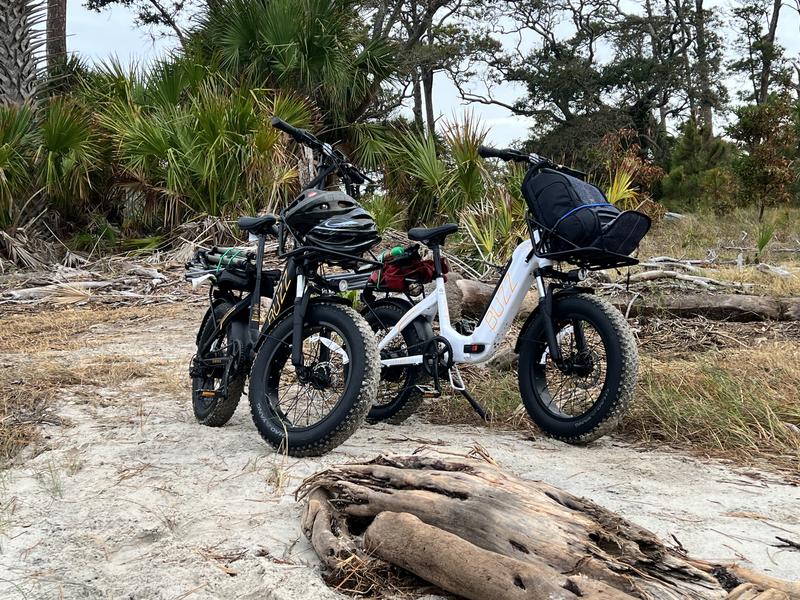 Centris 20-Inch Folding e-Bike | Buzz