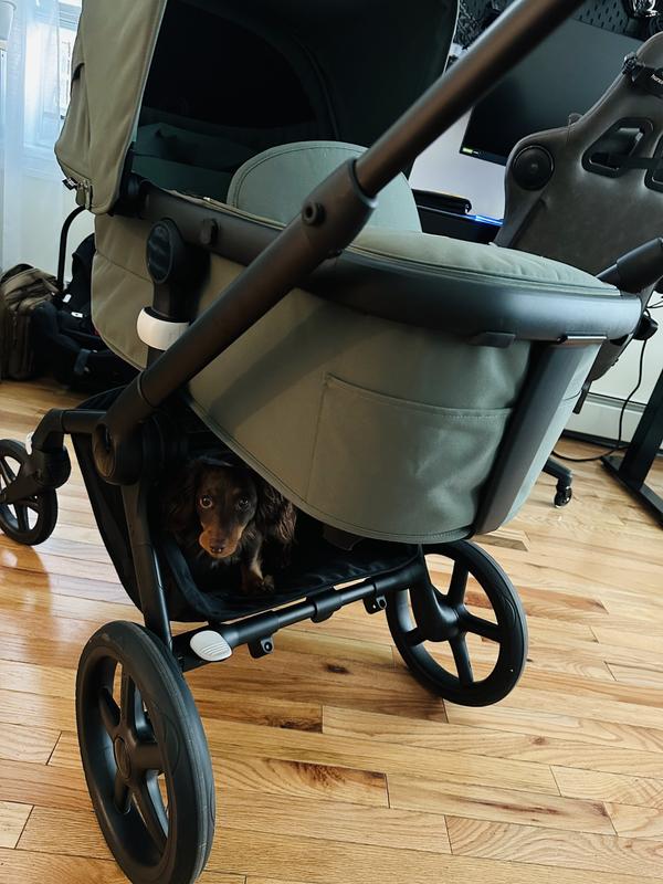 Bugaboo Fox 5 - BabyBob