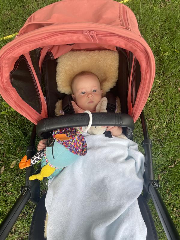 Review Thumbnail Image 0 1144950827