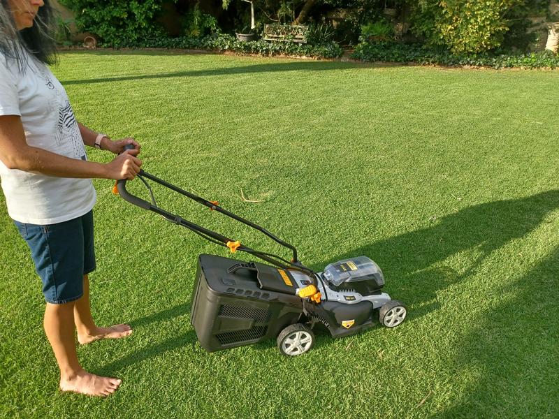 Builders warehouse best sale lawn mower specials