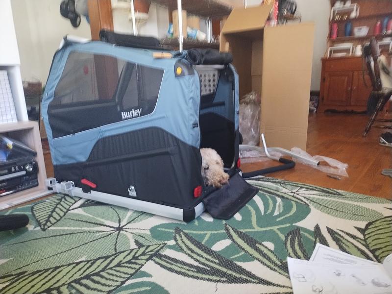 Photo submitted with review of product