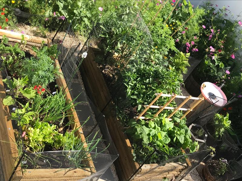 My place of peace and happiness