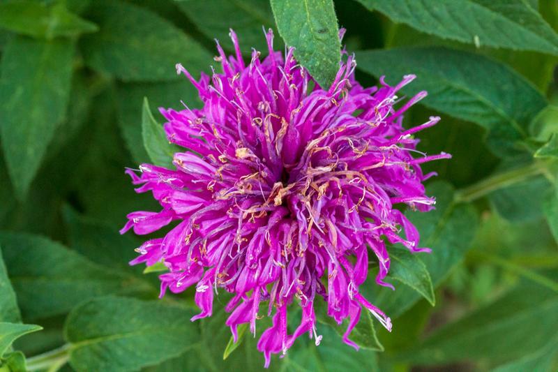 Onlayn porno kompilyatsiyalarni tomosha qiling