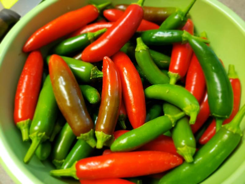 Serrano Tampiqueño Pepper Seeds