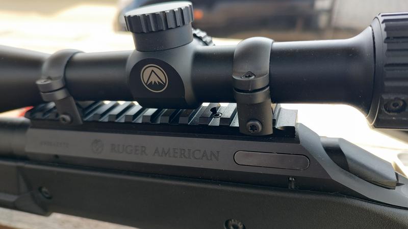 Ruger american predator