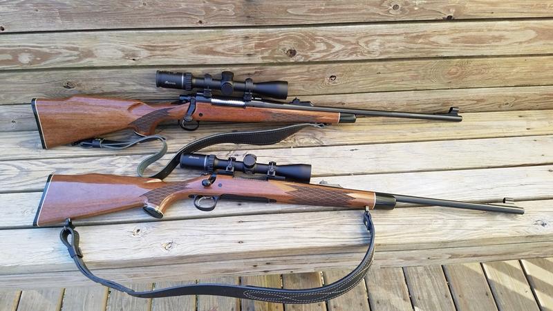 Photo - commentaire&nbsp;6.