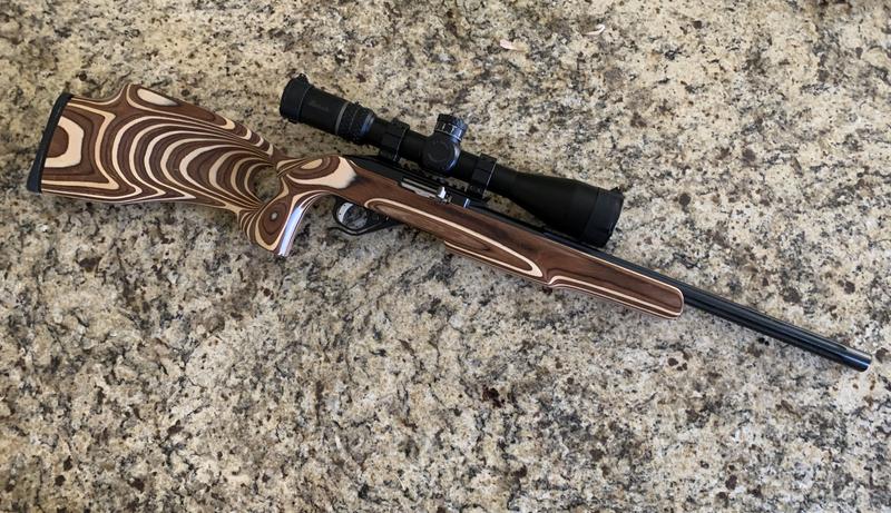 CST 22LR, XTR III 5.5-30 in Seekins .92 Rings.