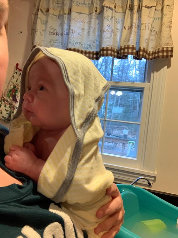 Burt's Bees Baby® 3Pack Organic Cotton Washcloths in Indigo buybuy BABY