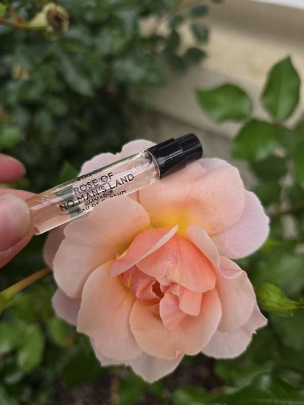 Customer photo for "Clean, Fresh, Warm Scent"