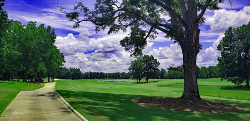 Canebrake Golf Club In Hattiesburg Mississippi Usa Golf Advisor