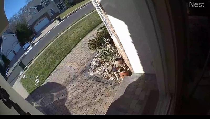 Customer photo 4 of 5. Click to open full size image.