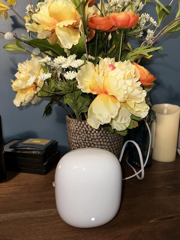 Customer photo 4 of 4. Click to open full size image.