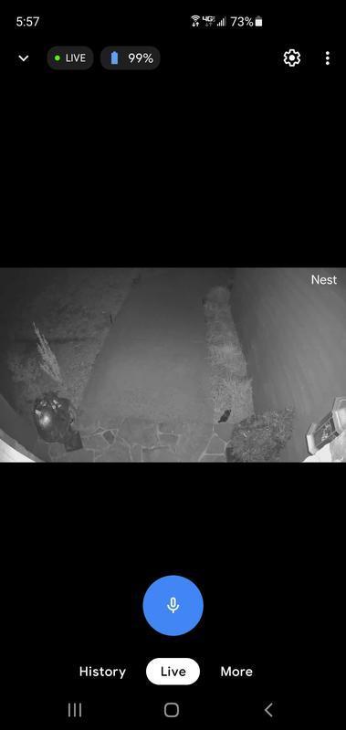 Google Nest Cam Outdoor/Indoor Security Camera with Wireless