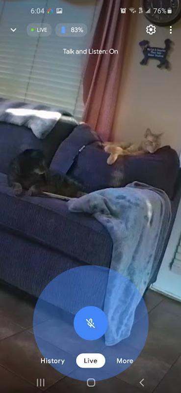 Customer photo 3 of 6. Click to open full size image.