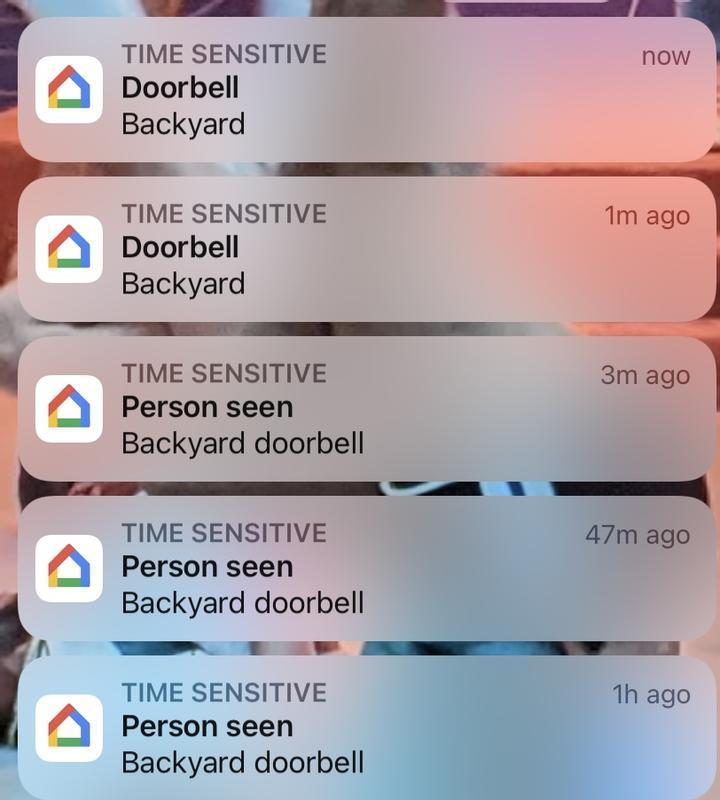 Customer carousel item 12.