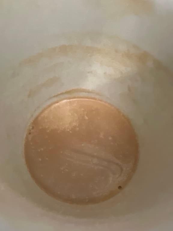 Doesn't completely blend and oily