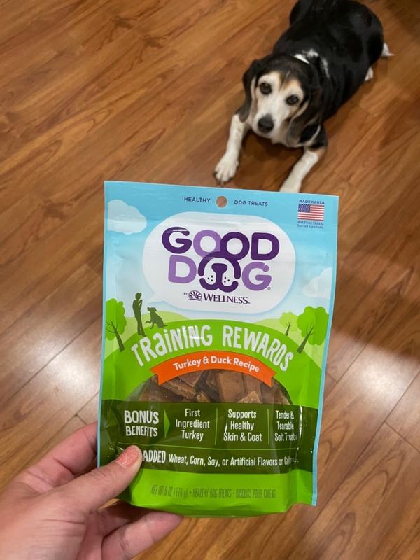 Healthiest dog 2025 treats reviews