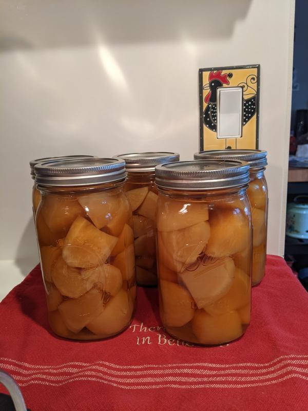 Successful Water bath canning applesauce in Presto Precise Digital