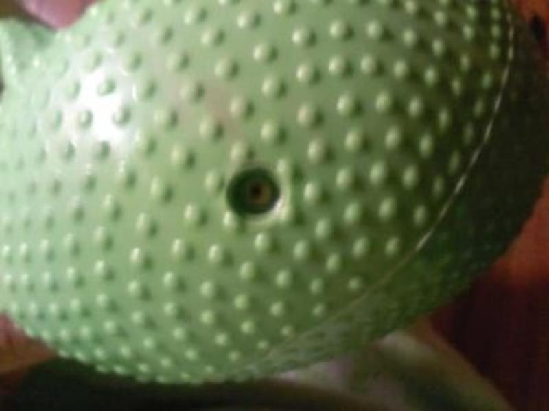 Photo submitted with review of product