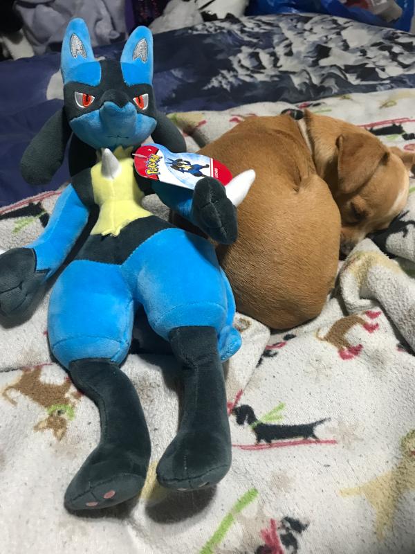 lucario plush gamestop