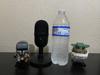 Size reference to water bottle and some little guys