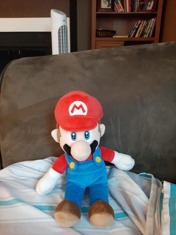 mario plush removable hat