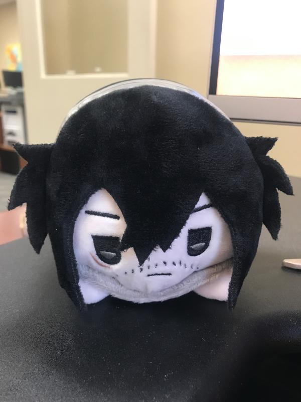 mr aizawa plush