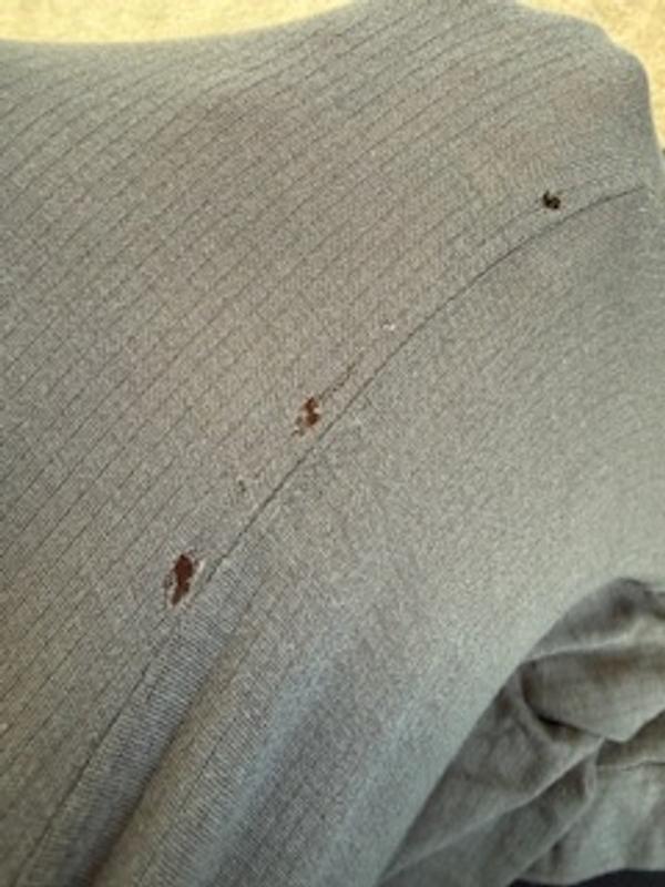 Sheer Ribbed Henley Long Sleeve Top