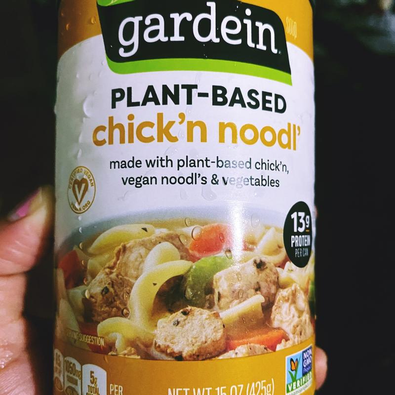 Vegan/Plant-Based Chicken Noodle Soup — The Plant-Based Cajun