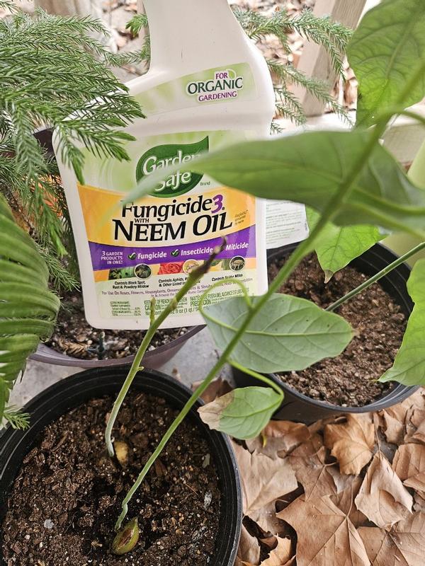 Garden Safe Brand Fungicide with Neem Oil, 32oz (Ready-to-Use)