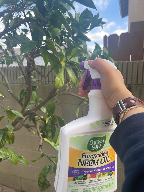 Garden Safe Brand Fungicide with Neem Oil, 32oz (Ready-to-Use)