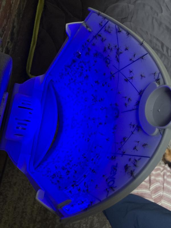 Review photo 4.