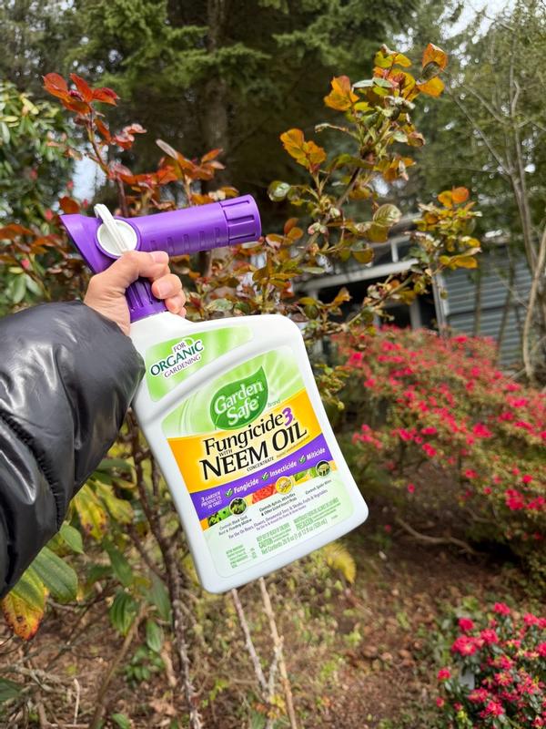 Garden Safe Brand Fungicide Concentrate with Neem Oil, 28oz (Ready-to- Spray)