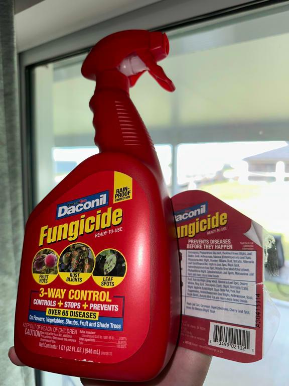 ready to spray and easy to use