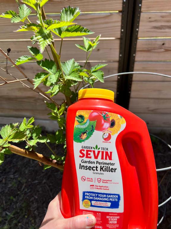 Killing Early Aphids