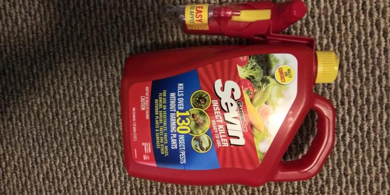 Bug Killer