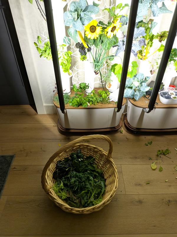 Gardyn Home 4 | Smart Indoor Hydroponic Garden