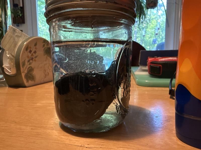 Watch soaking in distilled water.