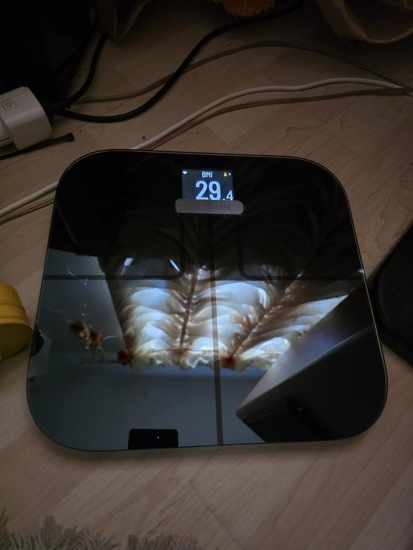 Garmin Index S2 Smart Scale with Health Statistics | Abt