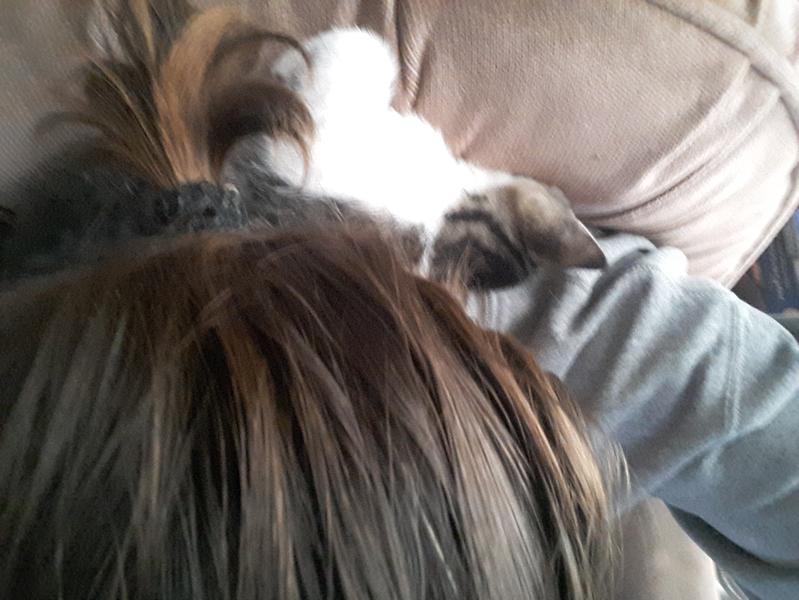 This is my natural color