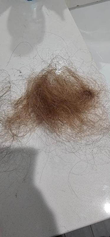 all the hair that I had to rip off with the brush trying to brush it