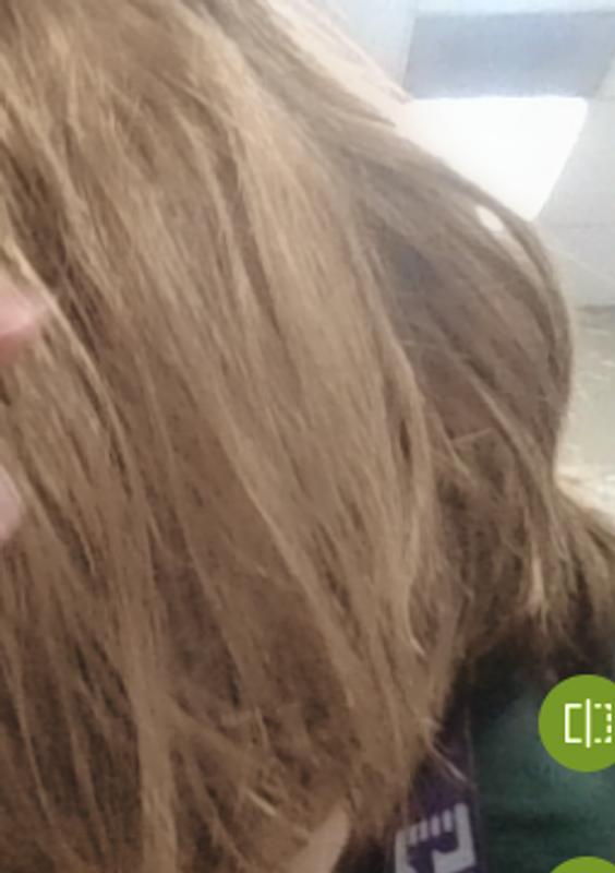 Hair before