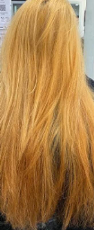 First bleaching session