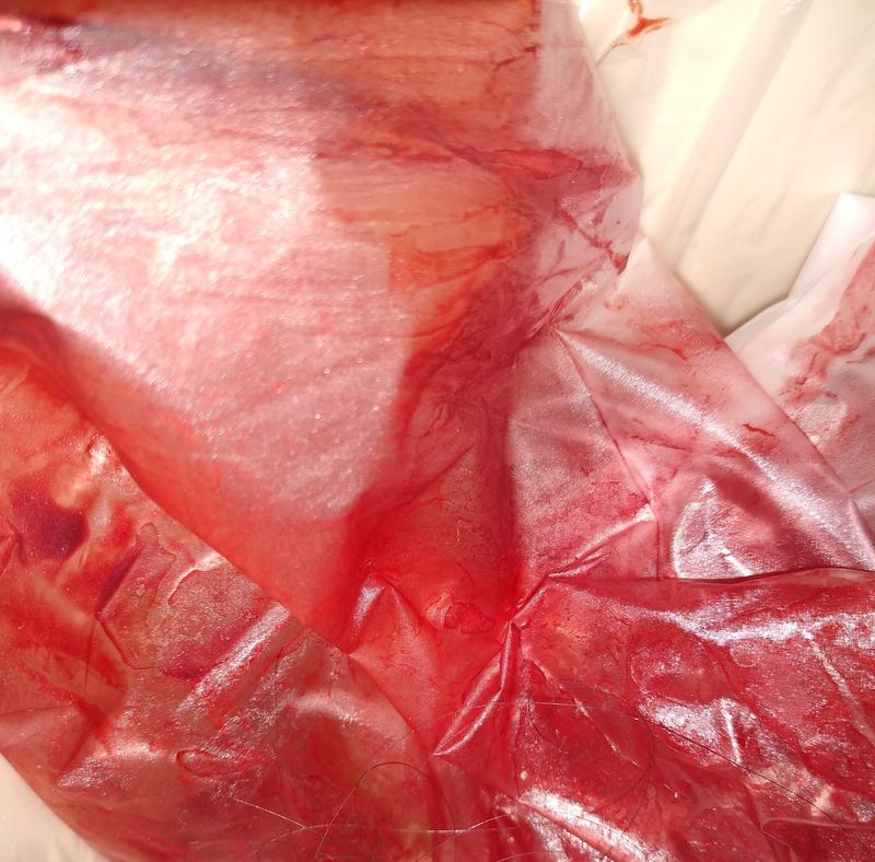 The glove with hair dye on it.