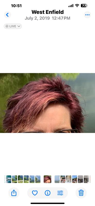Black Cherry from 2019 The CORRECT COLOR