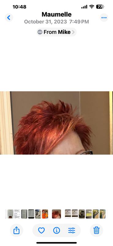 Black Cherry from Feb 2024 - Orange