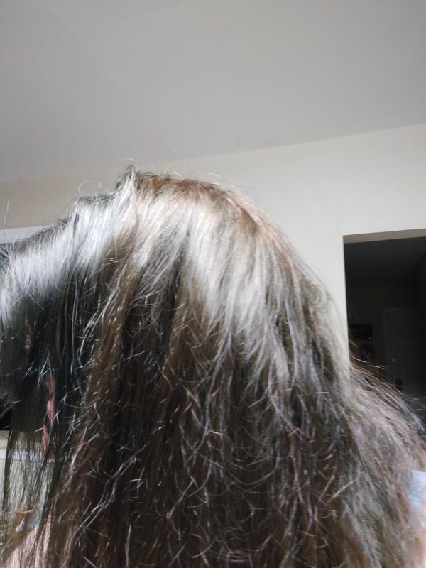 Nutrisse Ultra-Color Teal Forest Hair Color | Garnier
